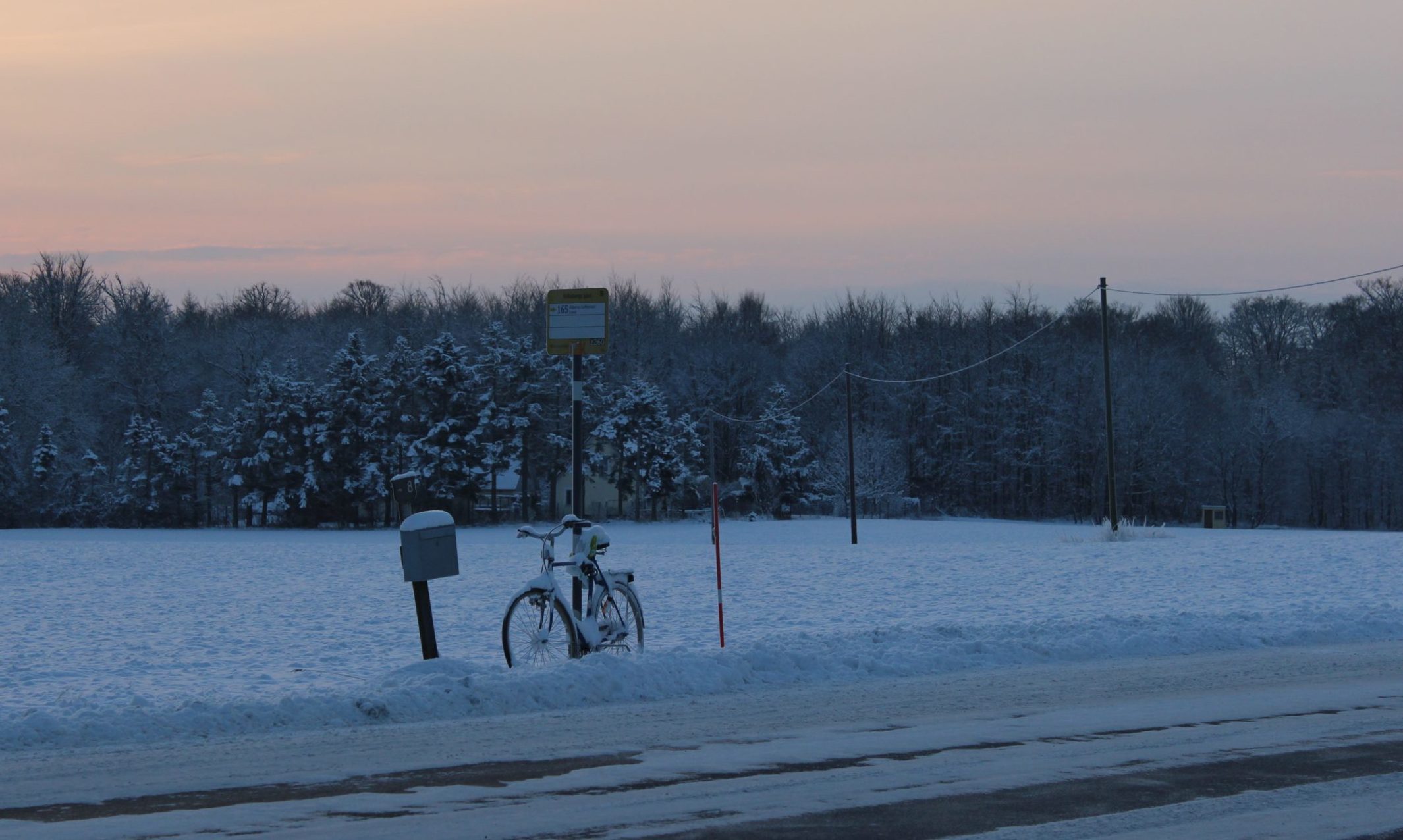 En ensam busshållplats vid en snötäckt landsväg i glesbygd där kollektivtrafiken är mycket begränsad.
