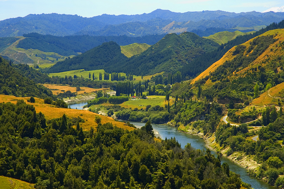 Whanganui-floden på Nya Zeelands nordö, omgiven av tät grön skog under en molnig himmel.